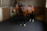 Stalmatten en stadeko: comfort en kwaliteit voor je paard